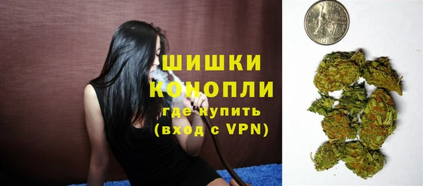 МДПВ Горнозаводск