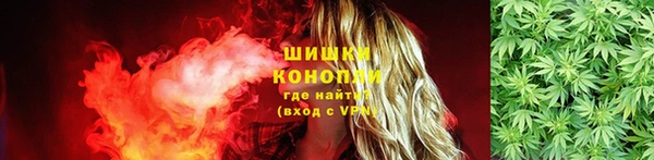 эйфоретик Горняк
