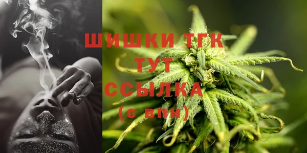 эйфоретик Горняк