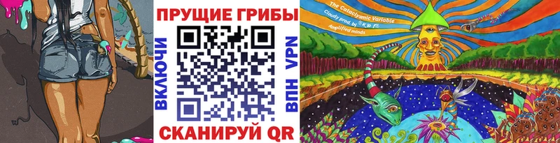 сколько стоит  Грязовец  Галлюциногенные грибы мицелий 